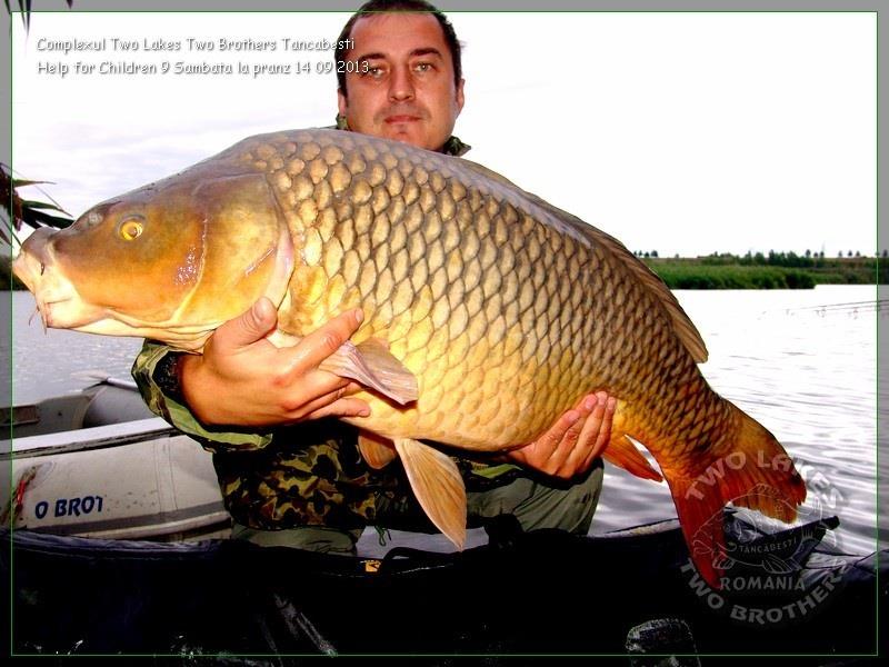 Mai multe poze.....:) - image11111111.jpg